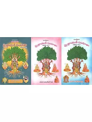 మైత్రాయణీ సంహితా: Maitrayani Samhita (Telugu) Set of 3 Volumes