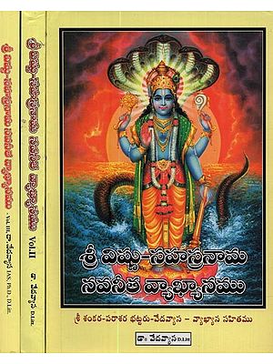 శ్రీవిష్ణు సహస్రనామ నవనీతవ్యాఖ్యానము- Commentary on Sri Vishnu Sahasranama Navaneetha in Telugu (Set of 3 Volumes)