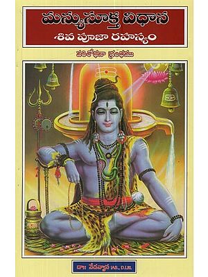 మన్యుసూక్త విధాన: శివ పూజా రహస్యం- పరిశోధనా గ్రంథము- Manyu Sukta Vidhana: the Secret of Shiva Puja - a Treatise in Telugu