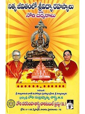 నిత్య జీవితంలో శ్రీవిద్యా రహస్యాలు- Secrets of Srividya in Eternal Life (Visions of Anu Nori in Telugu)