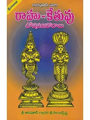 రాహు-కేతువు- An Essential Book on Rahu & Ketu Grahan (Telugu)