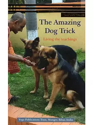 The Amazing Dog Trick Living The Teachings
