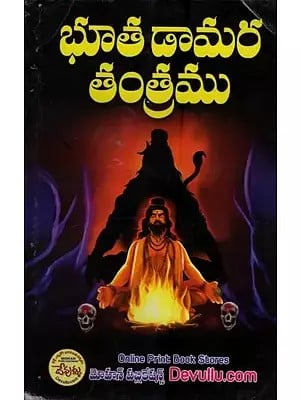 భూతడామర తంత్రము: వ్యాఖ్యానం - వివరణ- Bhutadamara Tantra: Commentary - Explanation in Telugu