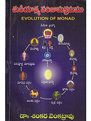తురీయాత్మ పరిణామక్రమము: Evolution of Monad (Telugu)