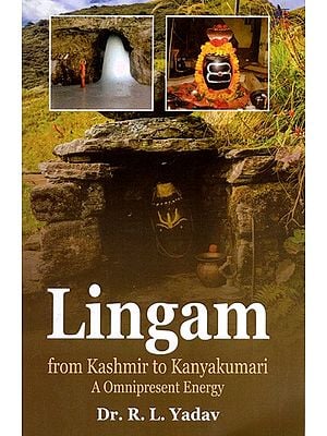 Lingam from Kashmir to Kanyakumari A Omnipresent Energy