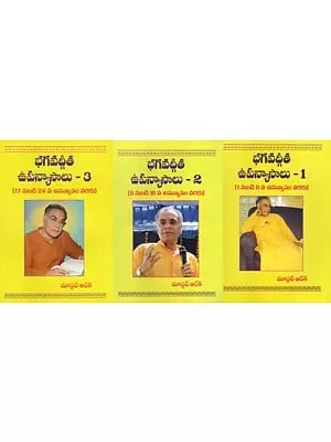 భగవద్గీత ఉపన్యాసాలు- Lectures on Bhagavad Gita (Lecture 1 To 16) (Set of 3 Volumes) in Telugu
