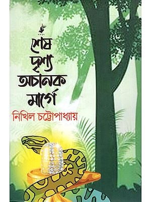 শেষ দৃশ্য অচানক মার্গে: Sesh Drishya Achanak Marge- Novel (Bengali)
