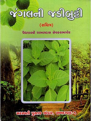 જંગલની જડીબુટ્ટી: Jangalni Jadibutti- (Part-1 to 6, Illustrated)- Gujarati