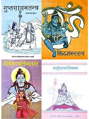 Four Important Tantras in Hindi