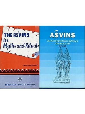 Ashwini Kumars: The Vedic Gods who are Twins (Set of 3 Books)