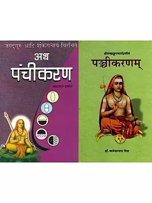 Books on Panchikaran-  in Hindi (Set of 2 Books)