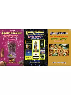 వేదవ్యాసకృత- శ్రీ మద్భాగవతము - వైజ్ఞానిక విశ్లే సృష్టి రహస్యాలు: Srimad Bhagavatham- Vaigyanika Vishleshana-Srusti Rahasyalu- Skandamulu 1st to 12th  (Set of 3 Volumes) Telugu