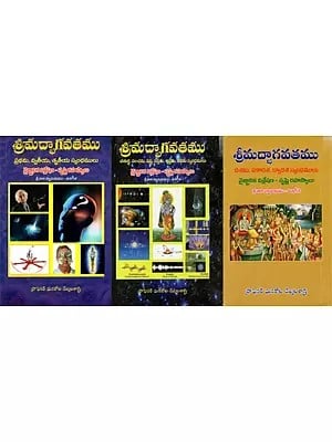వేదవ్యాసకృత- శ్రీ మద్భాగవతము - వైజ్ఞానిక విశ్లే సృష్టి రహస్యాలు: Srimad Bhagavatham- Vaigyanika Vishleshana-Srusti Rahasyalu- Skandamulu 1st to 12th (Set of 3 Volumes) Telugu