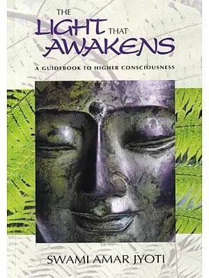 The Light That Awakens: A Guidebook to Higher Consciousness