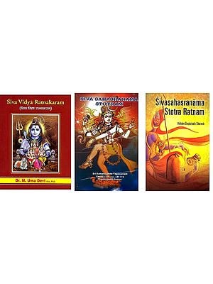 Three Commentaries on Siva Sahasranama (Thousand Names of Lord Shiva)
