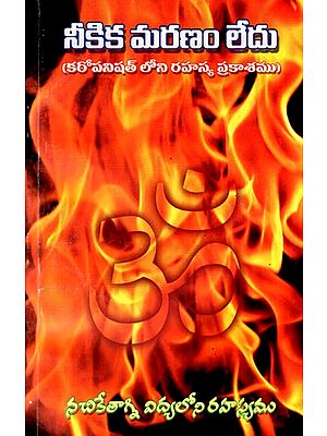 నీకిక మరణం లేదు: There is No Death for You (Secret Illumination in Kathopanishad) in Telugu