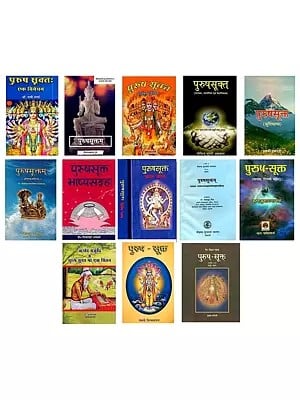 Studies in Purusha Sukta : Set of 14 Books (In Hindi)