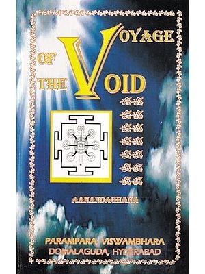 Voyage of The Void