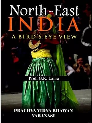 North-East India: A Bird's Eye View
