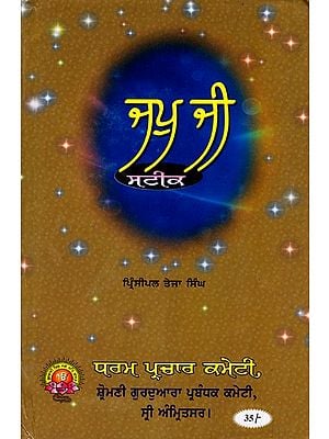 ਜਪੁ ਜੀ ਸਟੀਕ: Japji Steek (Punjabi)