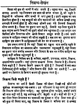 simple essay in hindi