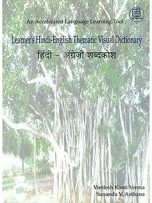 हिंदी-अंग्रेजी शब्दकोष: Learner's Hindi-English Thematic Visual Dictionary