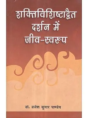 शक्तिविशिष्टाद्वैत दर्शन में जीव-स्वरुप - Life Forms in Shakti Visista Advaita Philosophy