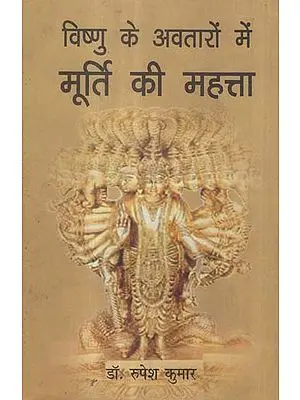विष्णु के अवतारों में मूर्ति की महत्ता - Importance of Statue in the Incarnations of Vishnu