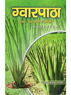 ग्वारपाठा: Aloe Vera (A Useful Medicine)