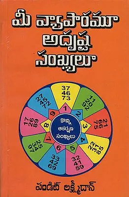Your Business Lucky Numbers (Telugu)