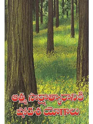 Atma Sakshatkaraniki Shodasa Yogalu (Telugu)