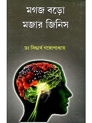 Magoj Baro Majar Jinish (Bengali)