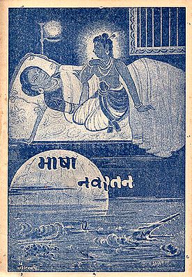 भाषा नवरतन: Bhasha Navaratan in Nepali (An Old and Rare Book)