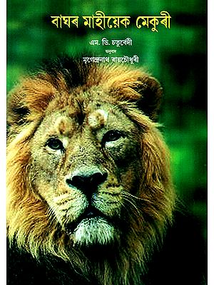 Baghar Maahiek Mekuri- The Cat Family (Assamese)