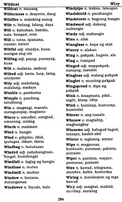 Dictionary - English-tagalog, Tagalog-english (pilipino)