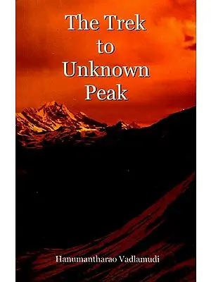 The Trek to Unknown Peak
