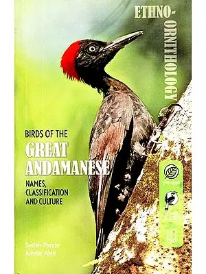 Birds of The Great Andamanese (Names, Classification and Culture)
