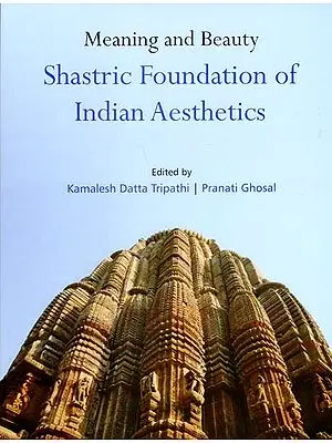 Meaning and Beauty Shastric Foundation of Indian Aesthetics
