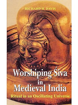 Worshiping Siva in Medieval India (Ritual in an Oscillating Universe)