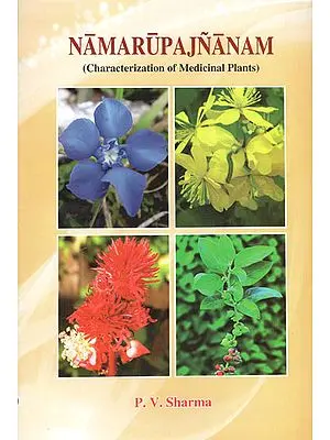 Namarupajnanam (Characterization of Medicinal Plants Based on Etymological Derivation of Names and Synonyms)