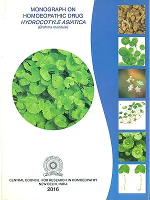 Monograph on Homoeopathic Drug Hydrocotyle Asiatica