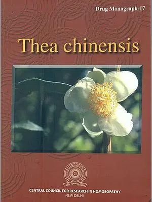 Thea Chinensis