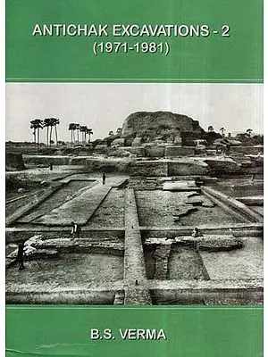 Antichak Excavations- 2 (1971-1981)
