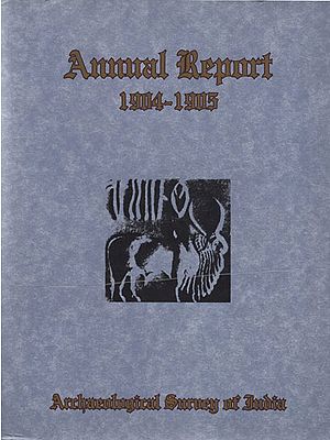 Annual Report - 1904-1905