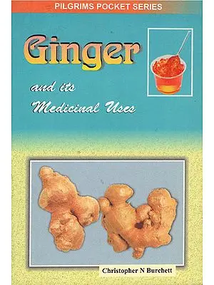 Ginger and its Medicinal Uses