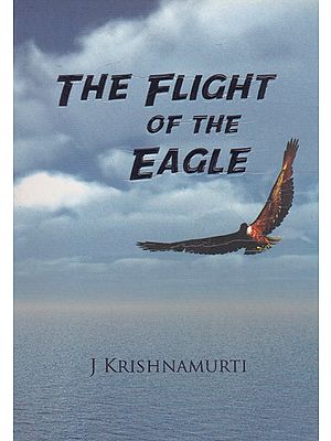 The Flight of The Eagle