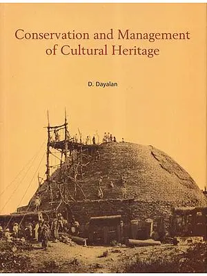 Conservation and Management of Cultural Heritage