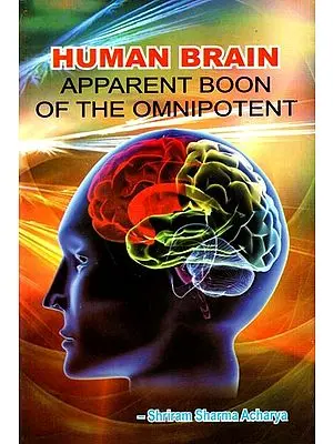 Human Brain- Apparent Boon of The Omnipotent