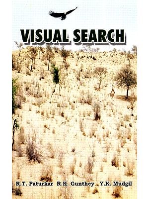 Visual Search