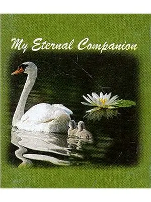 My Eternal Companion (A Pocket Book)